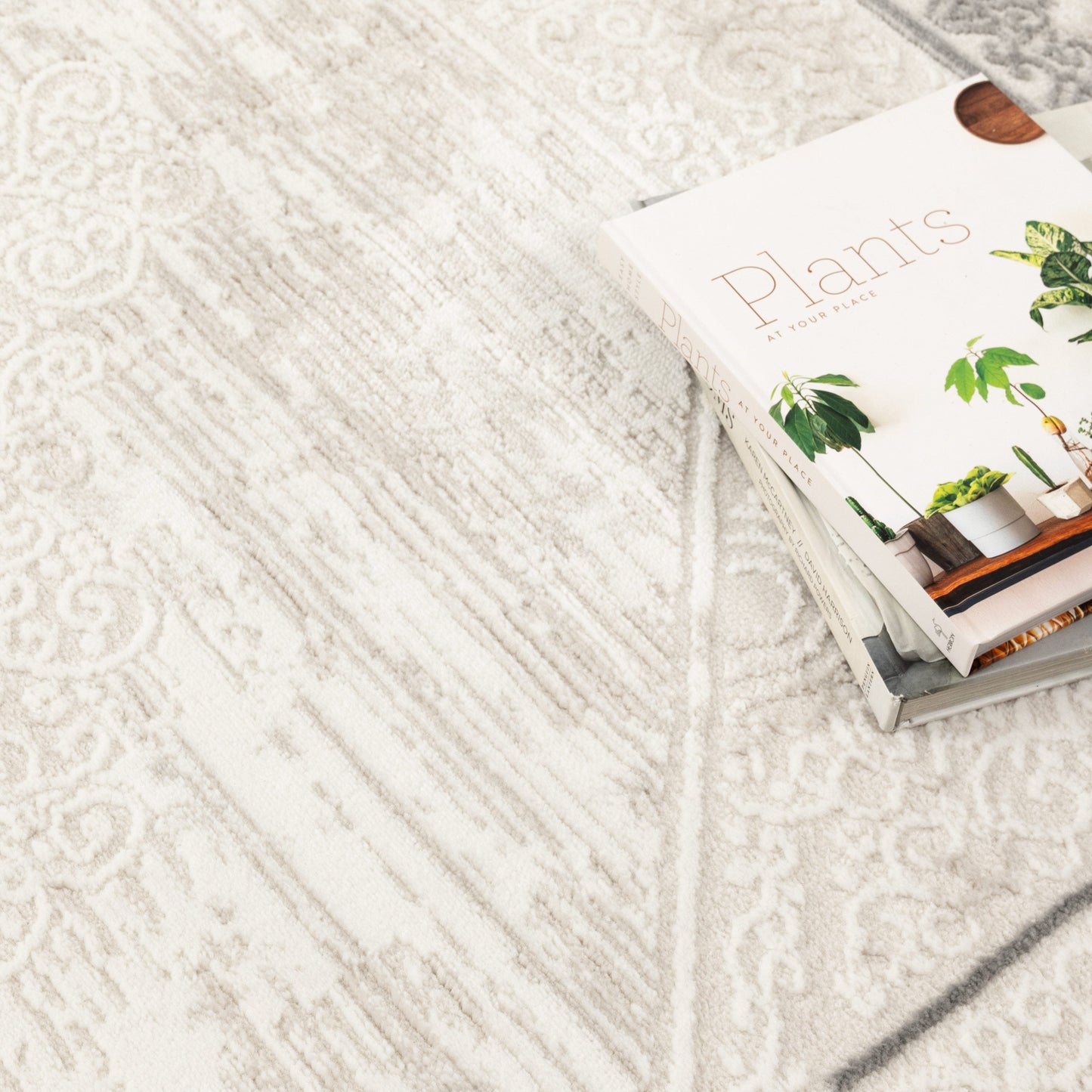 Amalfi Oriental Border Medallion Cream In Grey Rug