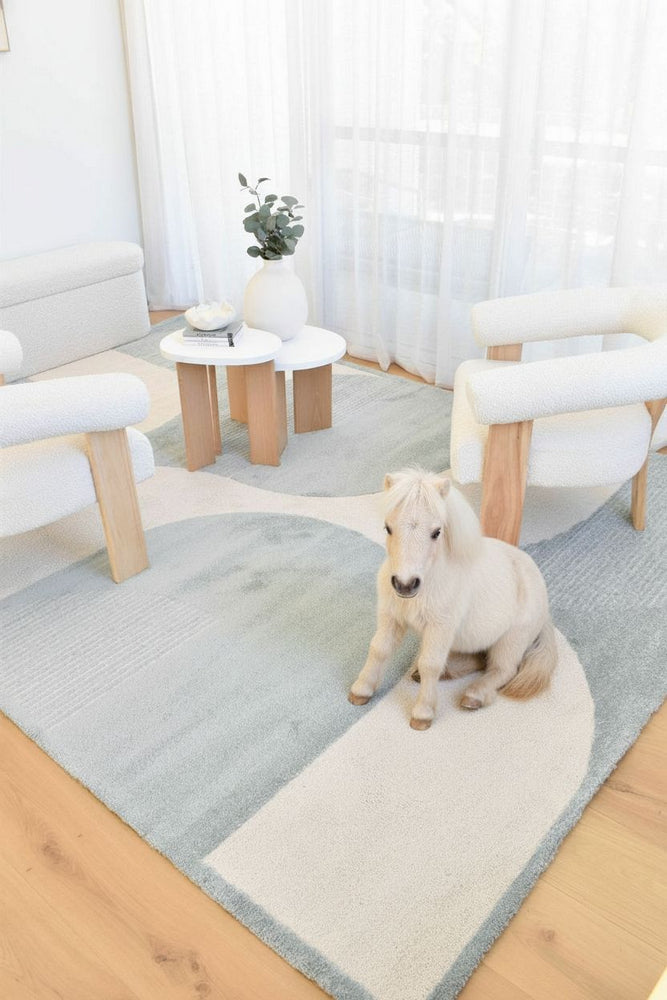 Coco Frost in Blue Colour Rug