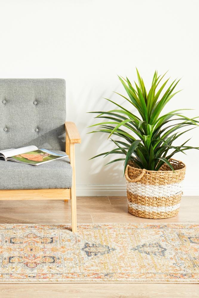 Legacy in Salmon : Runner Rug