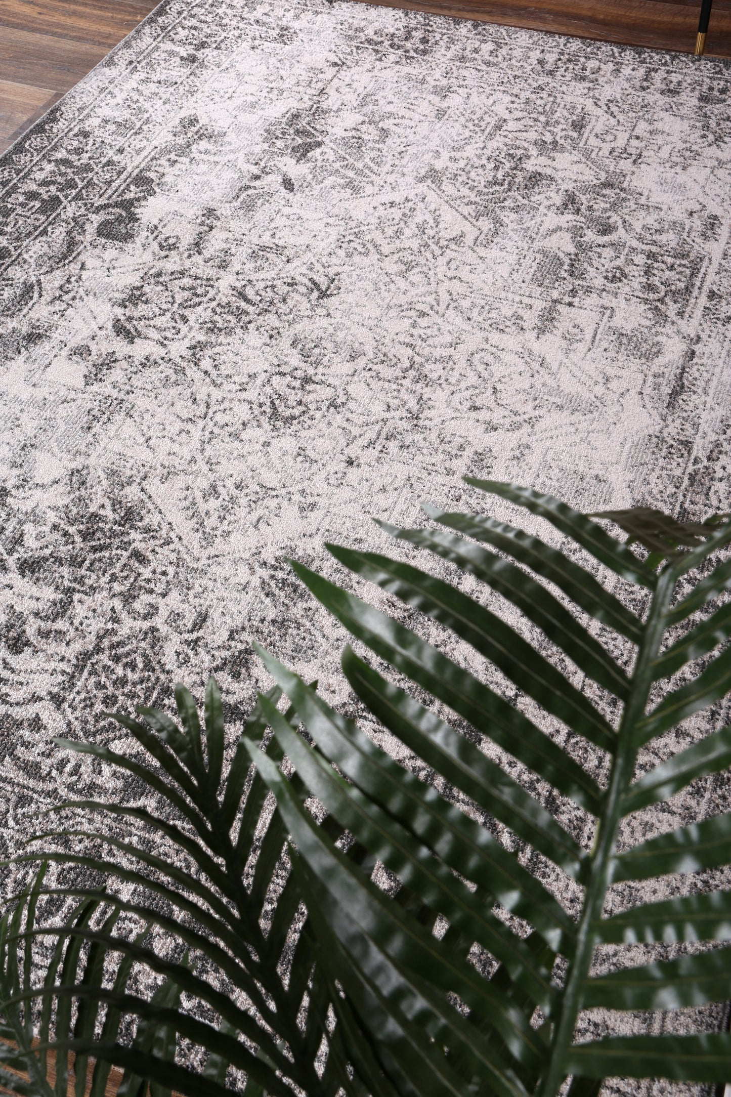 Salsa Carine in Ivory & Grey Rug