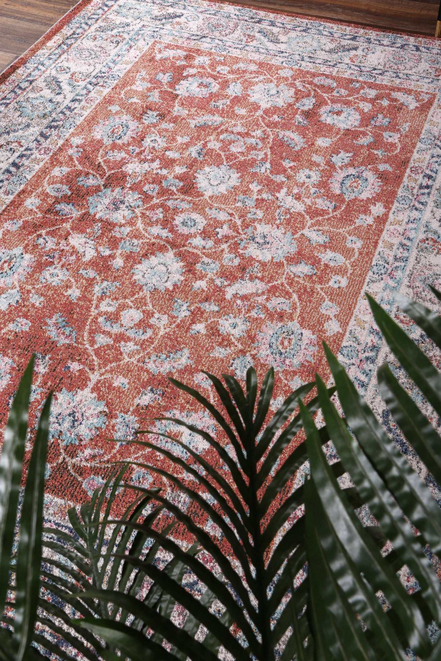 Salsa Luda in Terracotta Rug