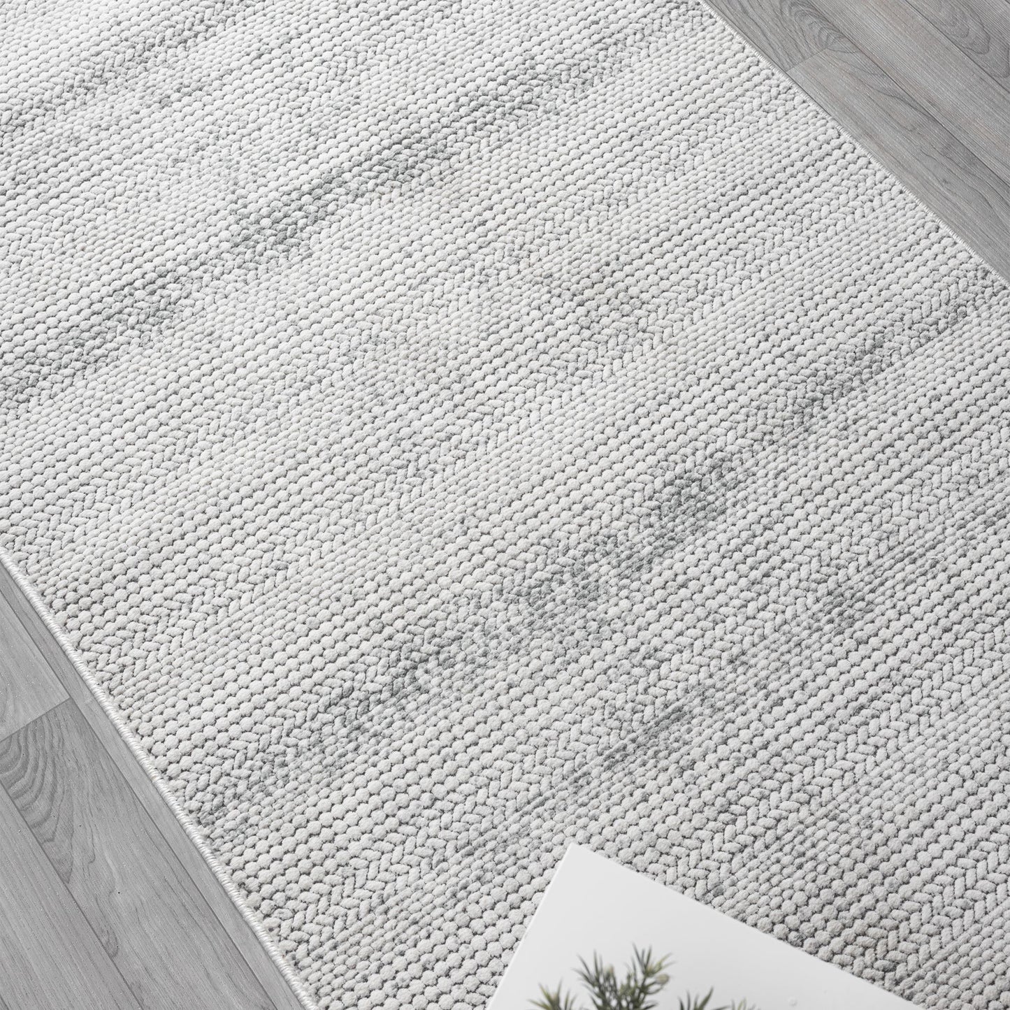 Lavish Cloud in Cream : Runner Rug