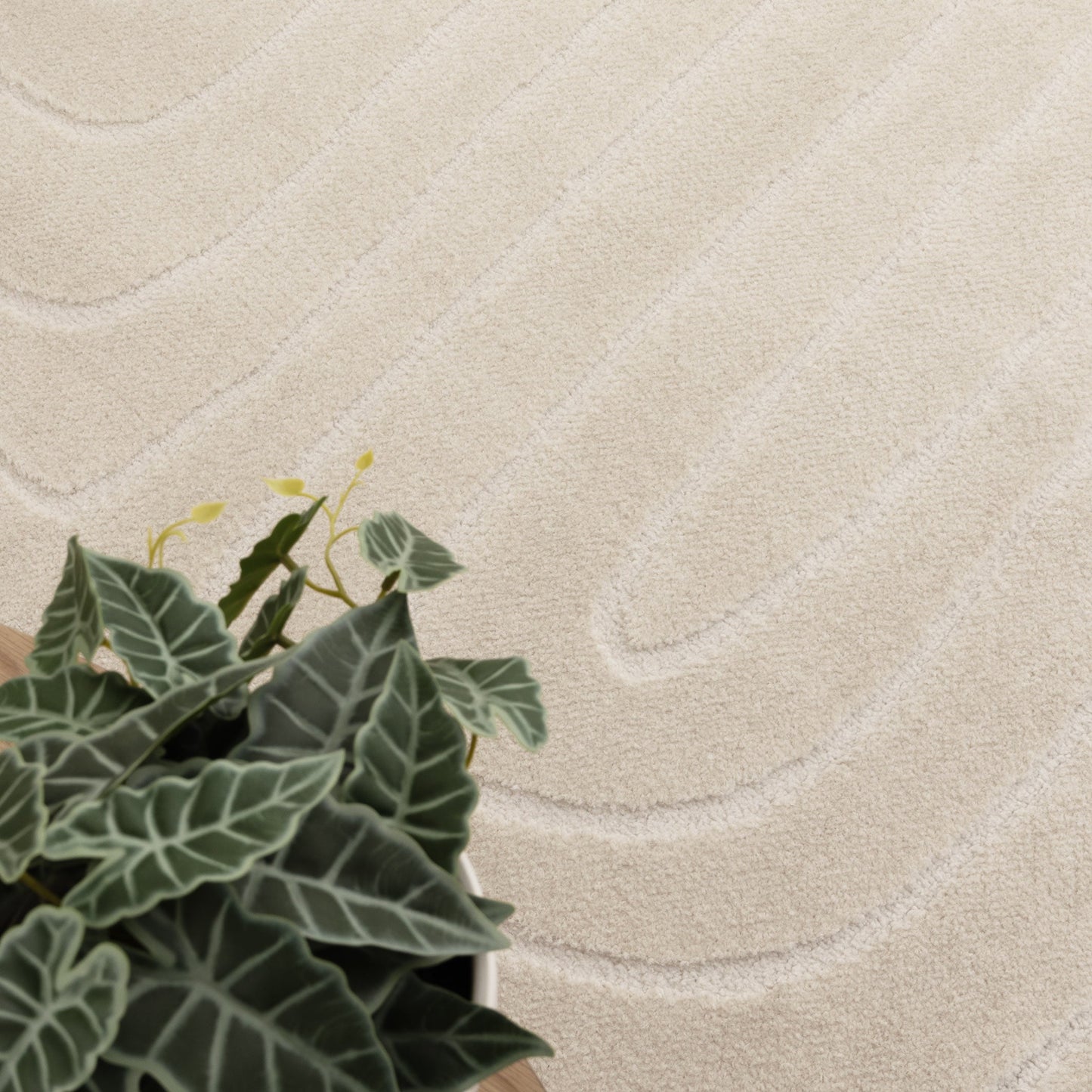 Mila Arch Lines in Cream Rug