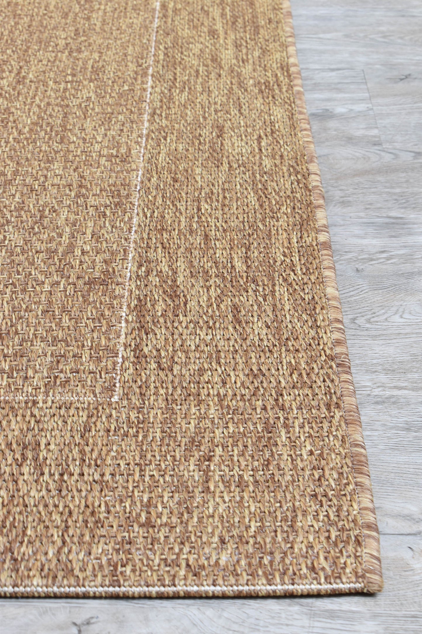 Sisal Outdoor in Brown Rug