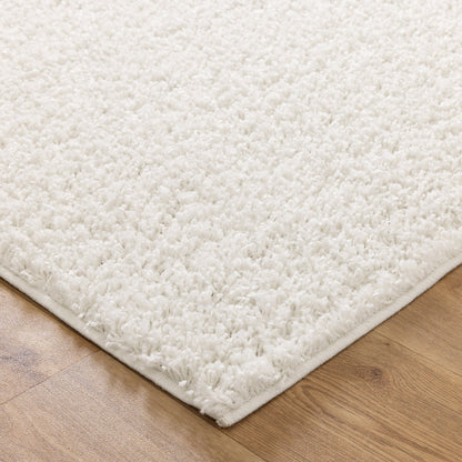 Florence Shaggy Excellent Comfort in White Rug