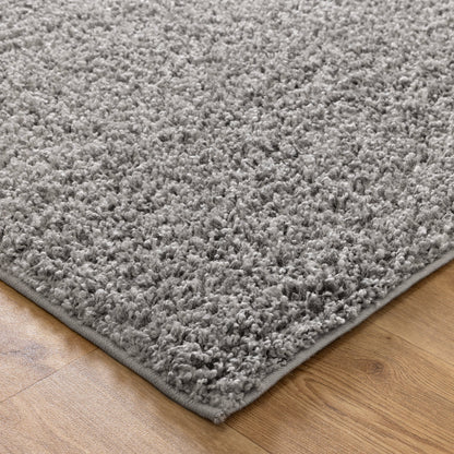Florence Shaggy Excellent Comfort in Grey Rug